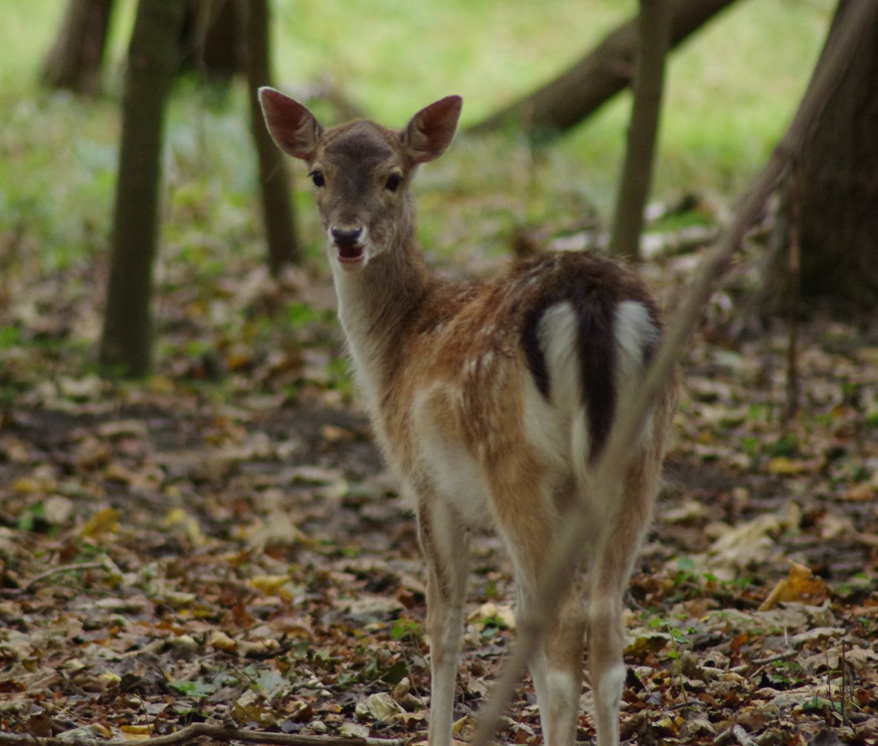 ../image/imgp1462.jpg
