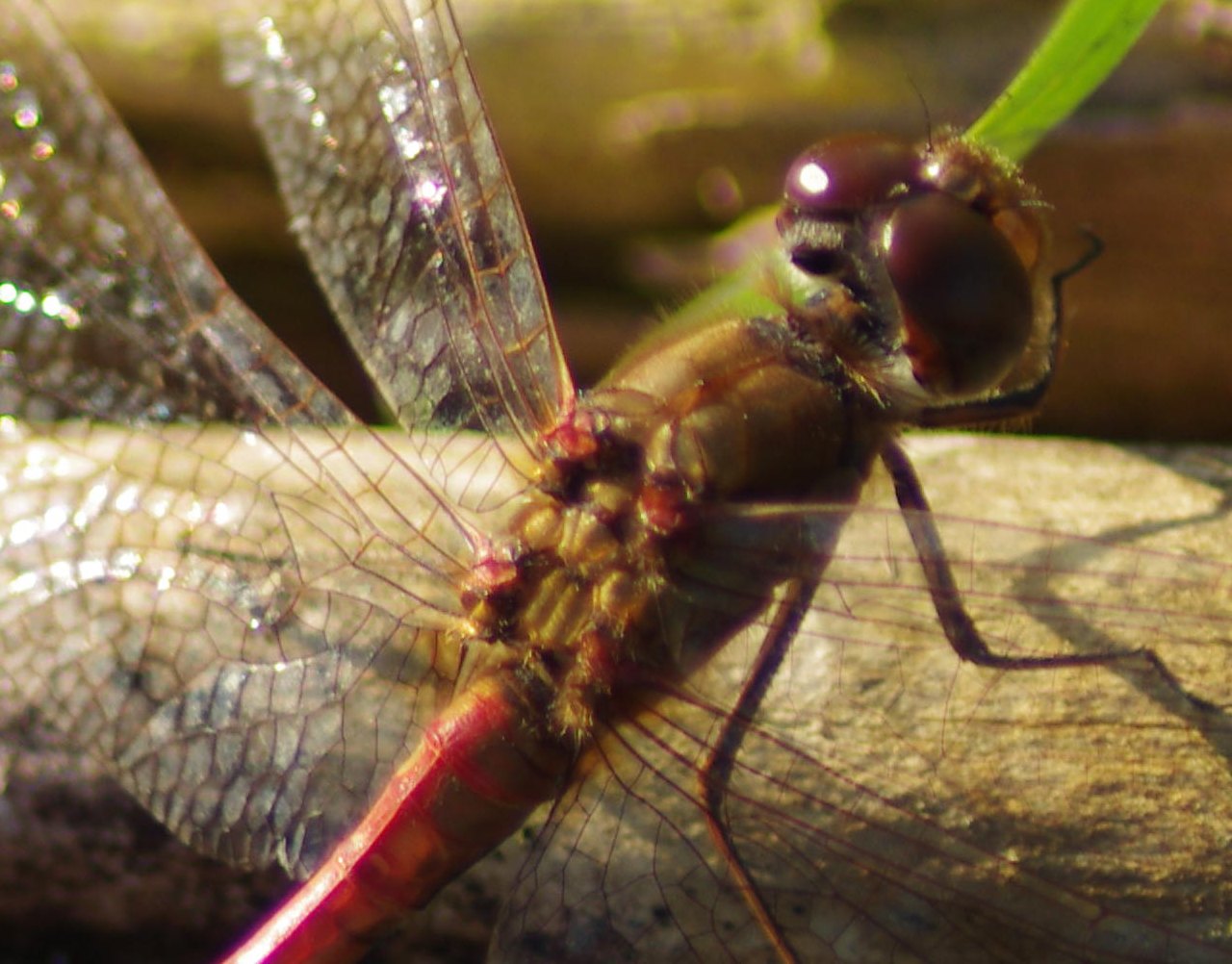 ../image/imgp1573crop.jpg