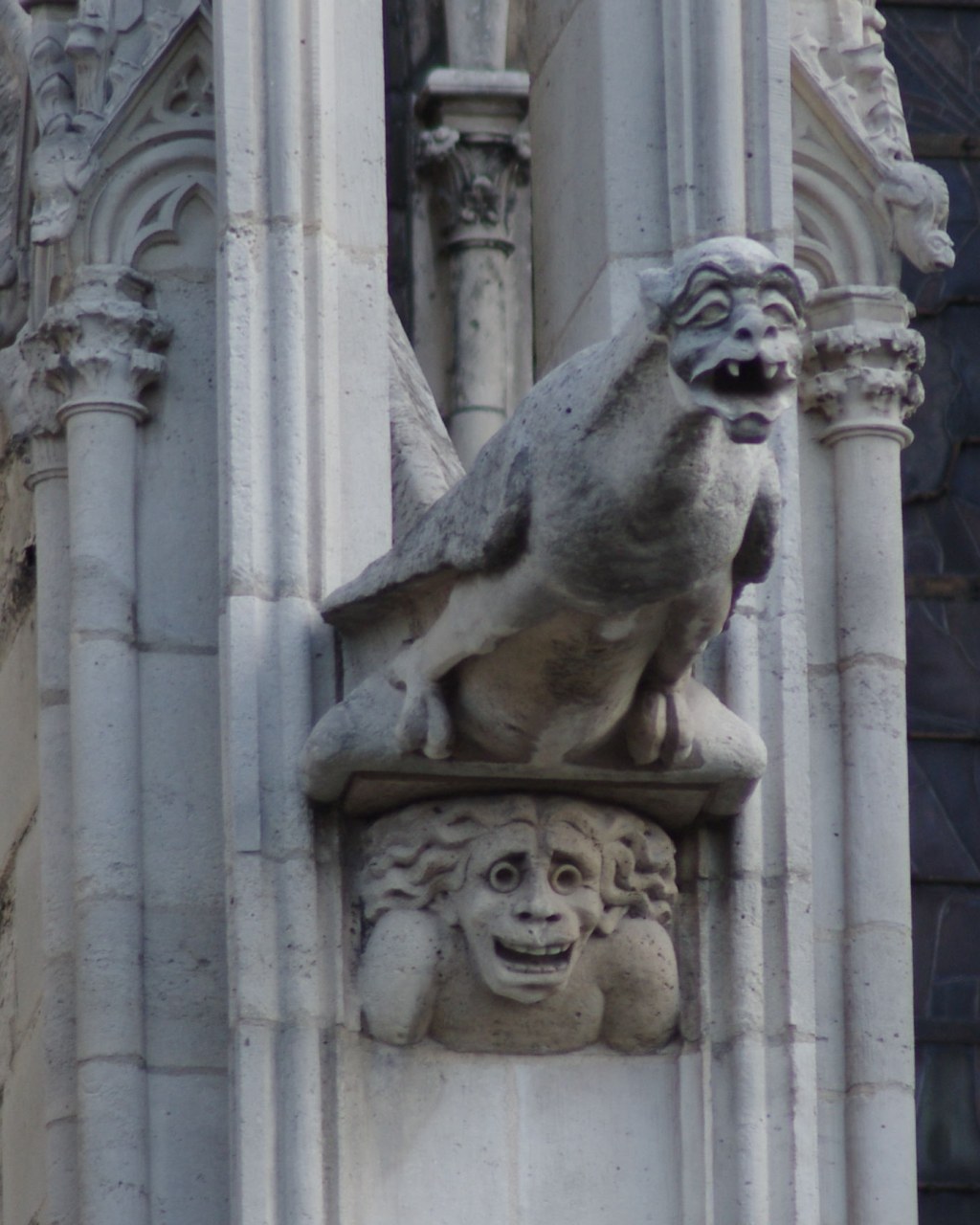 ../image/imgp5778.jpg