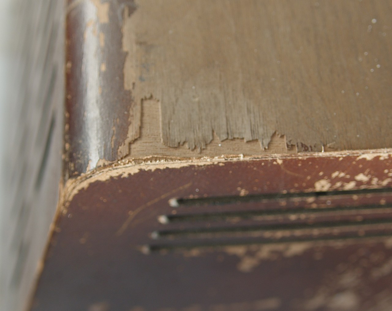 ../image/imgp9817.jpg