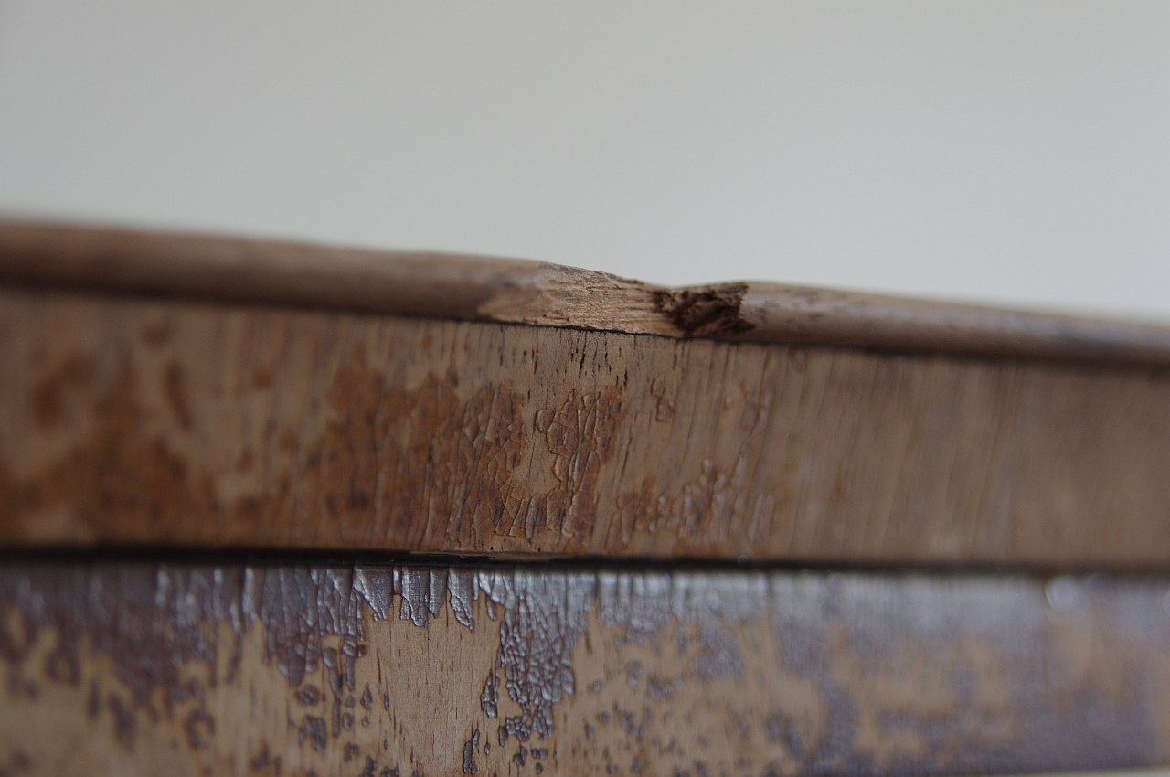 ../image/imgp9842.jpg