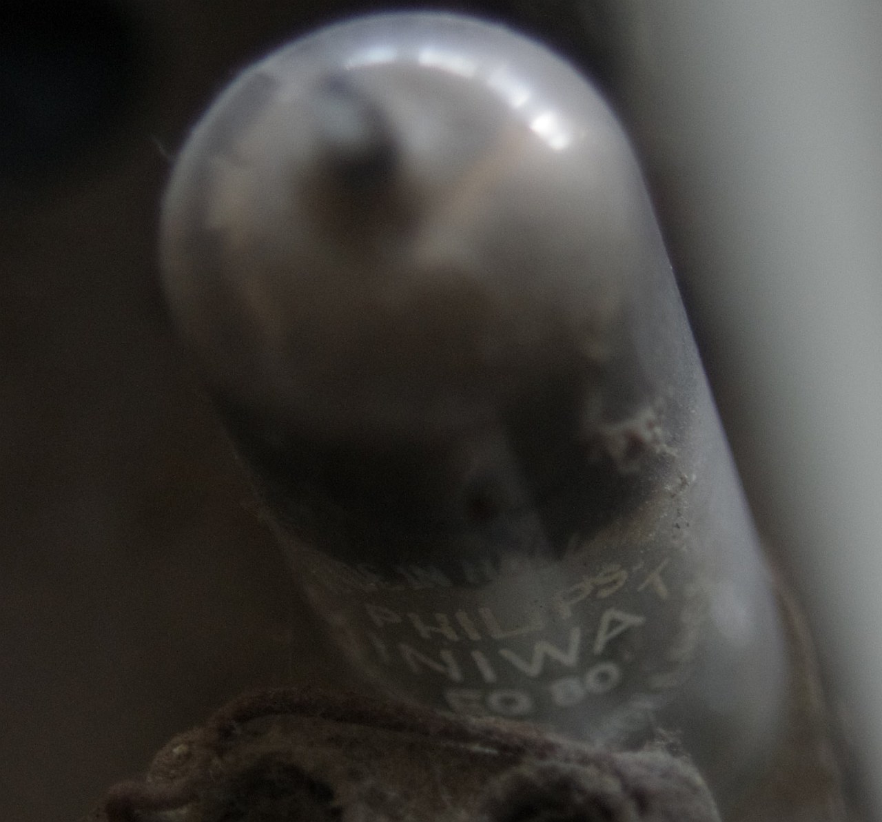 ../image/imgp9856.jpg